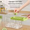 Debo Quick Release Ice Cube Storage Box