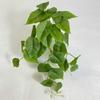 Real Touch Artificial Green Plant Leaves Plastic Fake Hanging Plants  Wedding Party Decor