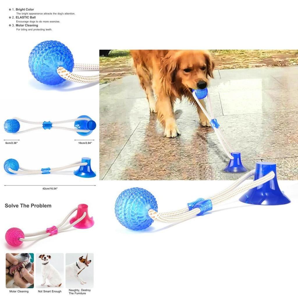 Durable Pet Molar Bite Toy With Firm Tug Rope Ball And Teeth Cleaning Features