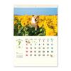 New Japan Calendar 2026 Wall Calendar and the Shiba Inu with Chronology NK35 "Maru Walk"