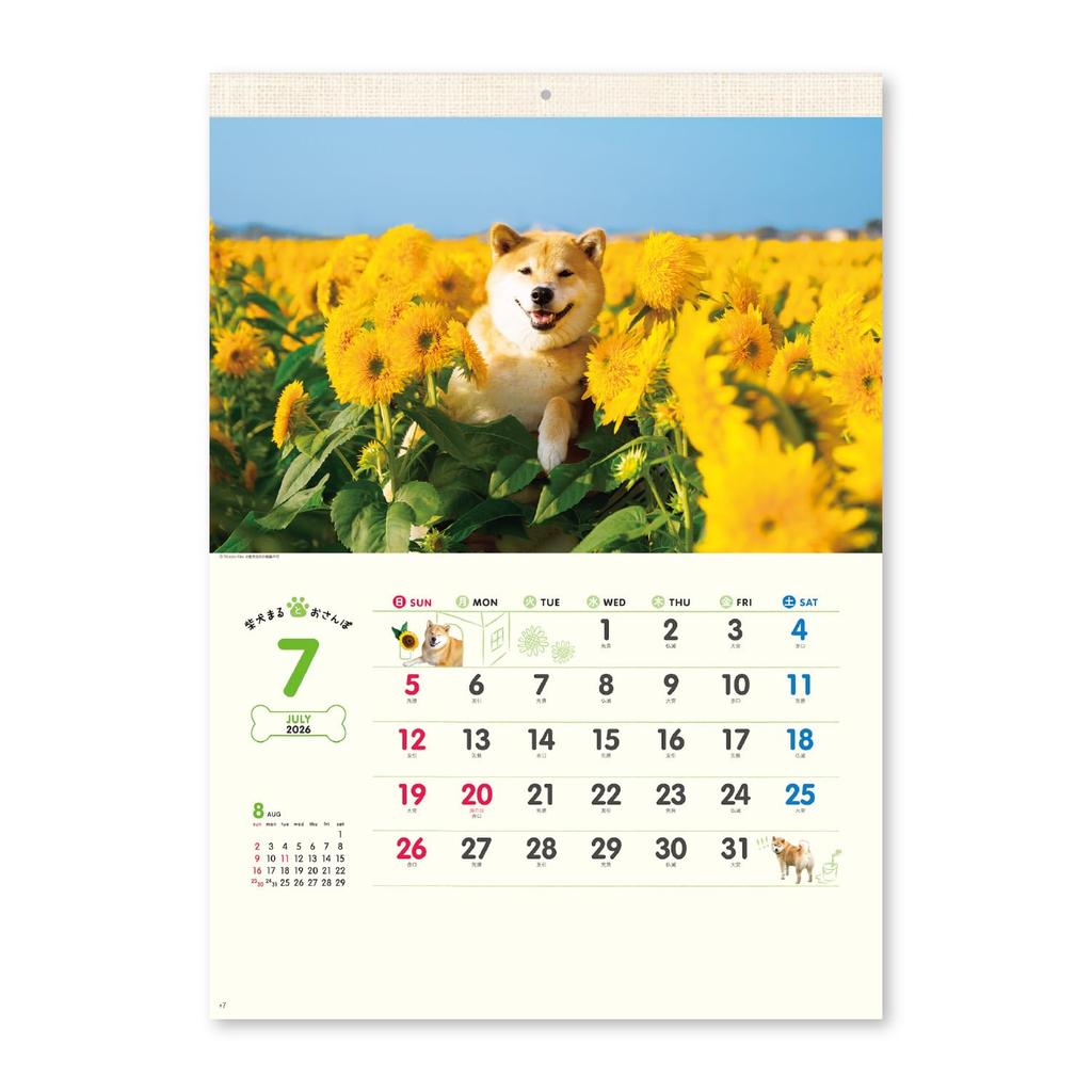 Nový Japonský kalendář 2026 Nástěnný kalendář a Shiba Inu s chronologií NK35 "Maru Walk"