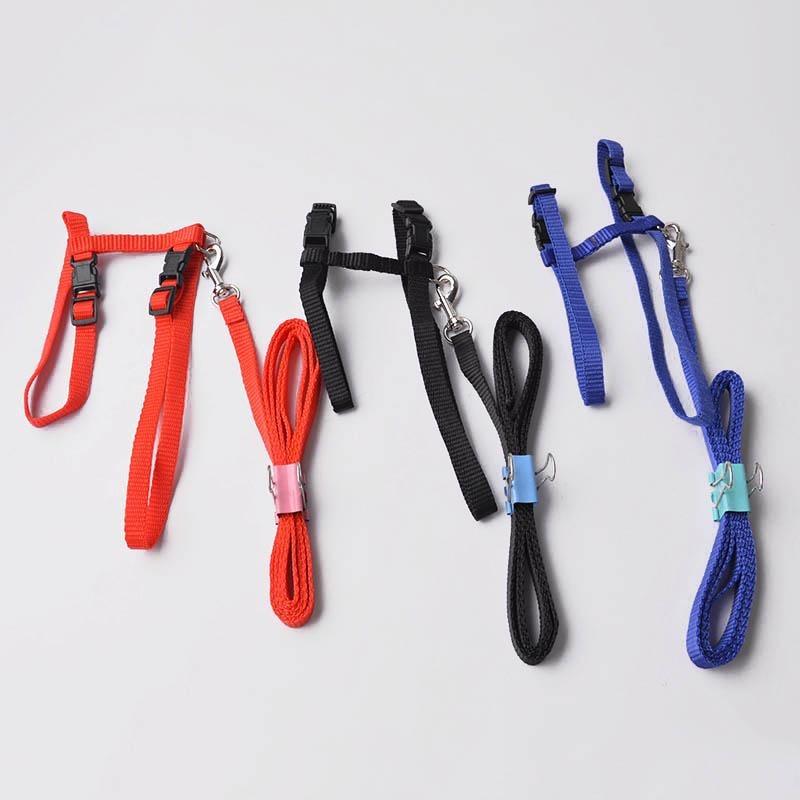 Verstellbarer Haustier-Traktionsgürtel, Katzenhalter, kleines Haustier-Hundegeschirr und Leine-Halsband
