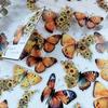 30pcs/Pack Vintage Butterfly PET Stickers DIY Decorative Junk Journal Stickers For Scrapbook Label Diary Album Planner