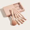 Morandi 5-Piece Eye Makeup Brush Set with Window and Mirror – Soft, Portable & Affordable.