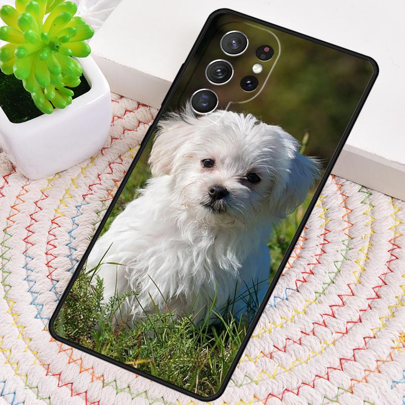 Maltese Dog Puppies Silicone Phone Case For Samsung Galaxy note 10 pro S26 S25 S24 S23 S22 S21 Plus S25Ultra Capa Cover