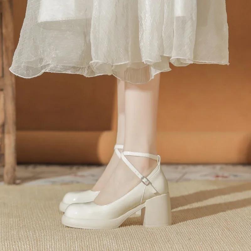 Fashion French Mary Jane Women's Shoes Chunky Heel High Heels Retro Buckle Elegant Single Shoes Spring Autumn Versatile Round Toe