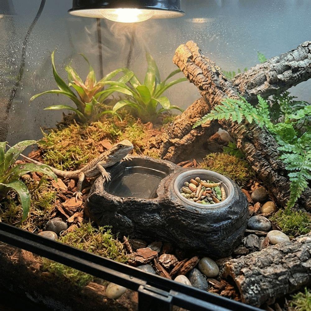 Imitation Stone Resin Rock Feeder Dish Wear Resistant with Bowls Reptile Food Bowl Prevents Spills Anti-knock