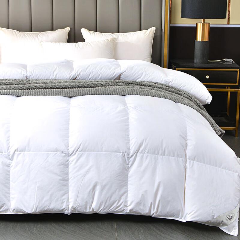Langsaha Premium Velvet Duck Down Quilt