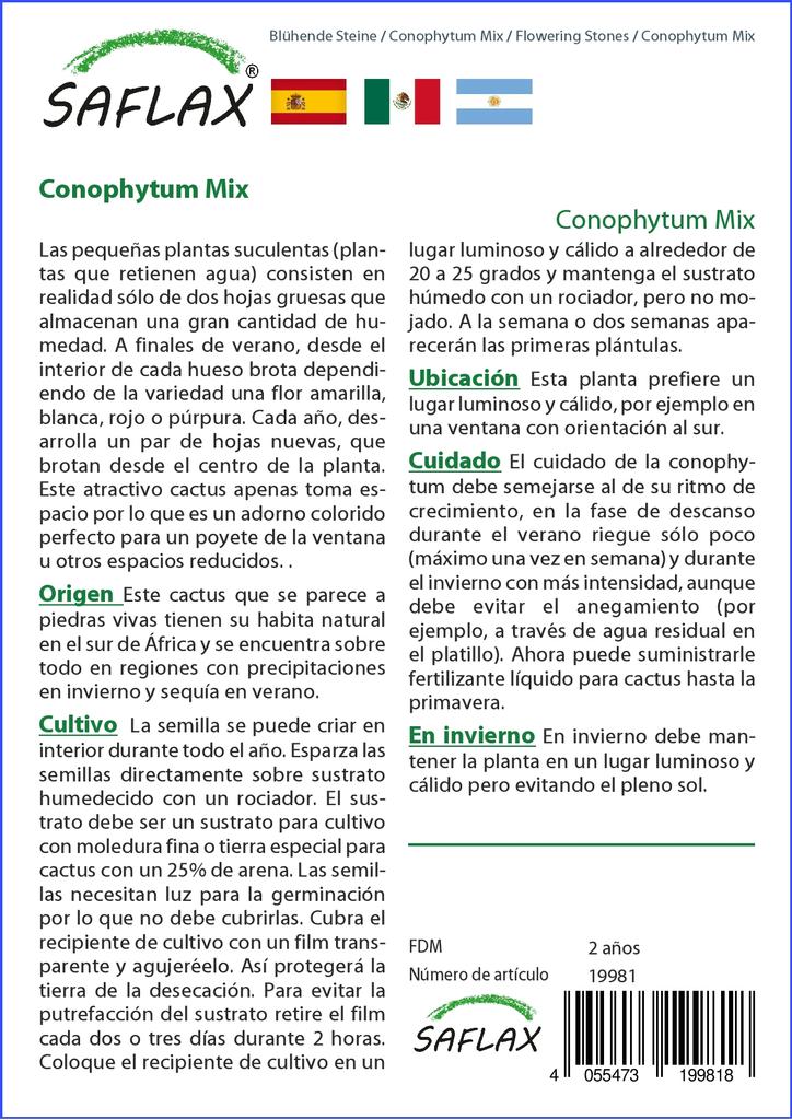 SAFLAX Garden In the Bag - Flowering Stones / Conophytum Mix - 40 Seeds - With Substrate In a Fitting Stand Up Bag - Conophytum Mix