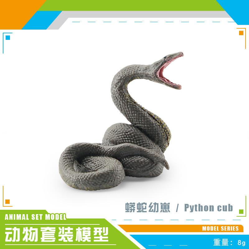 Lifelike African Lion Ferret And More Animal Figurines For Kids And Collectors