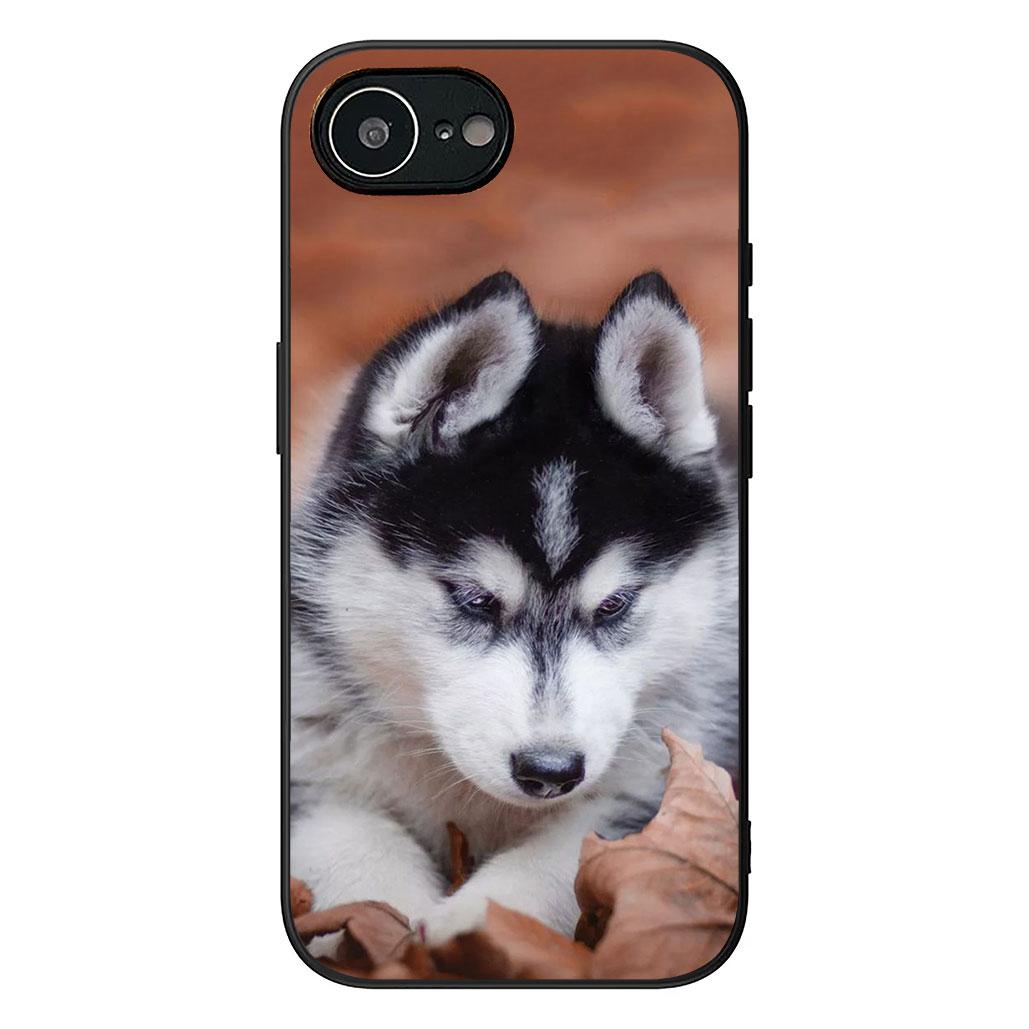 

Stalking Wild Wolf Husky Dog Phone Case for Apple iPhone 12 13 Mini XS 11 Pro Max 7 8 Plus + XR 8+ X SE 2020 SE3 Soft Cover iPhone SE 2020