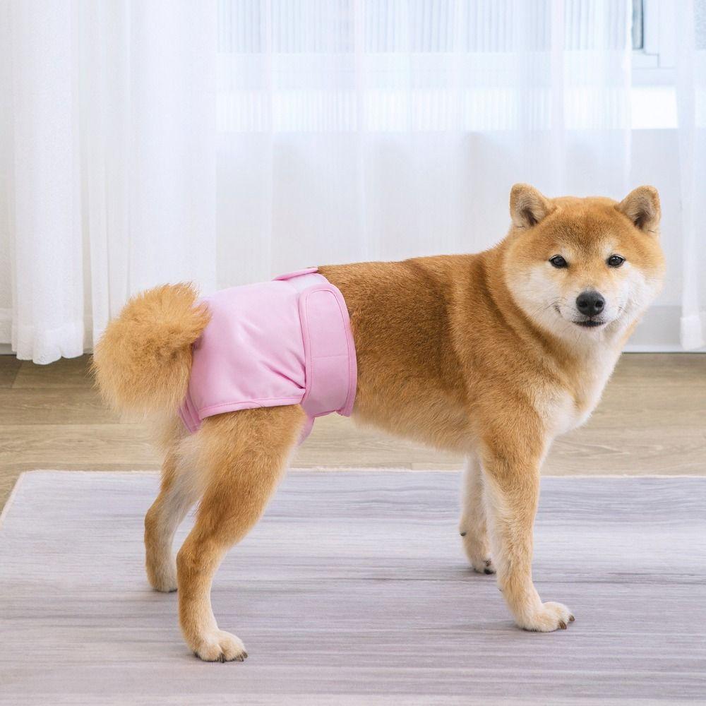 Washable Dog Physiological Pants Anti-harassment Pet Menstruation Shorts  Female Dog