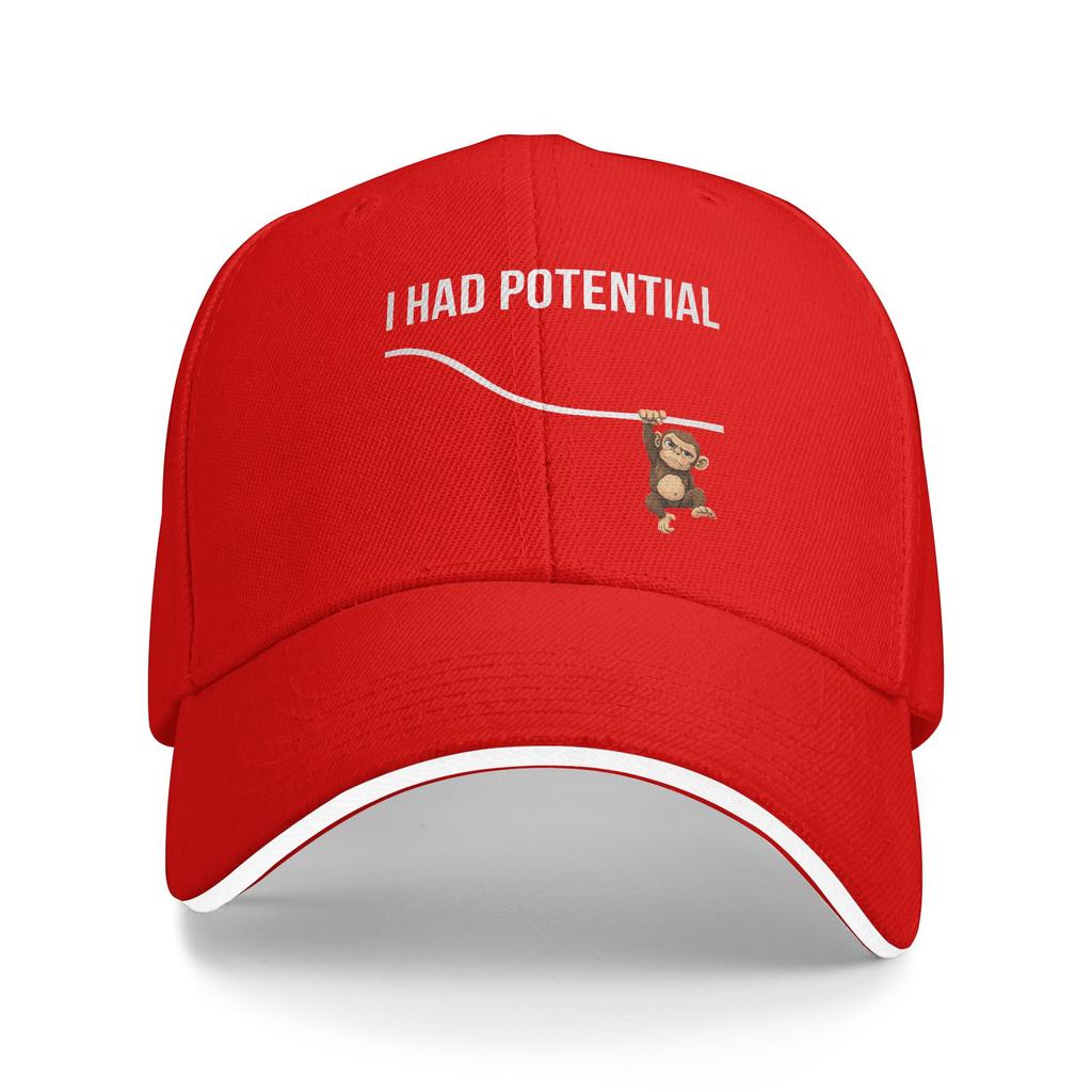 Funny Physics Punch Monkey I Had Potential Energy Science Sun Baseball Cap Summer Cool Hip Hop Hats Men Camping Baseball Caps