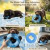Cães – Brinquedos para cães
