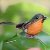 1Pcs Robin Bird Christmas Mini Artificial Bird Christmas Tree Decorations