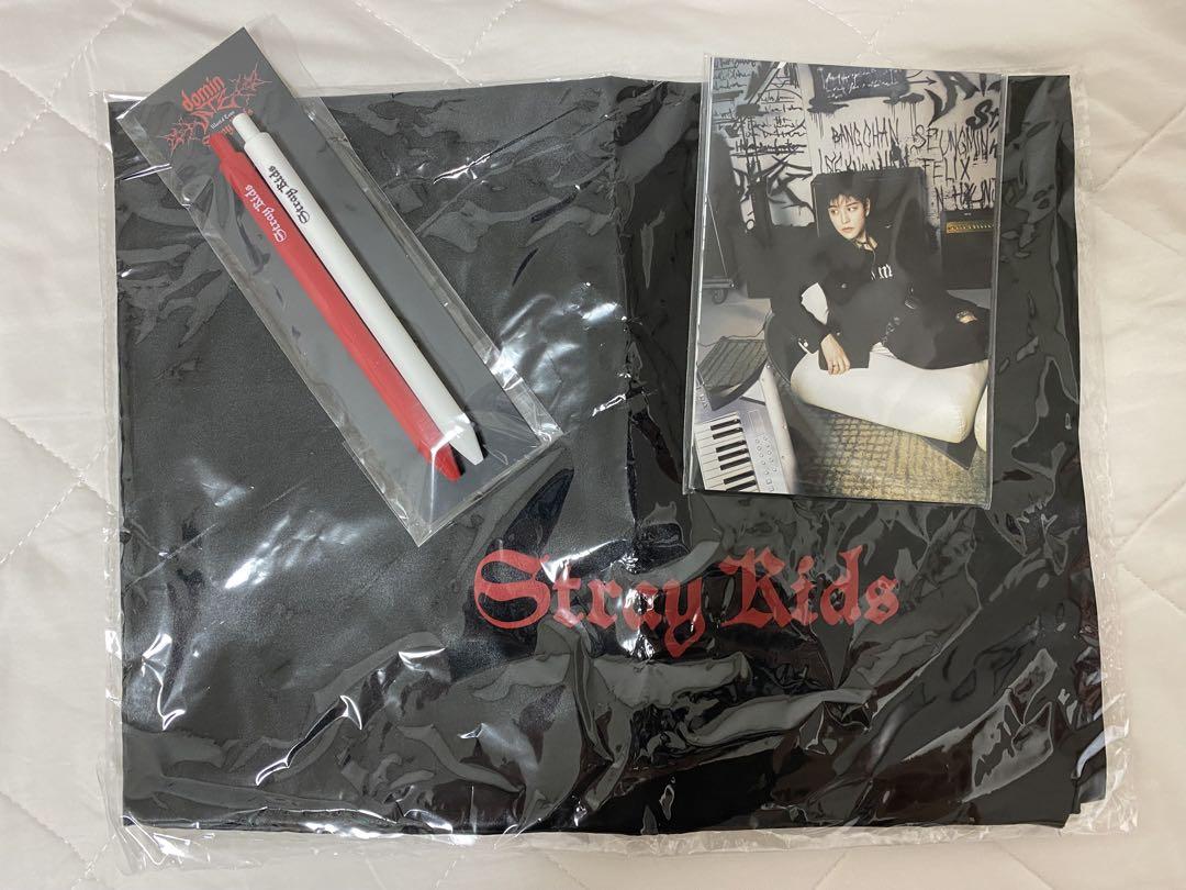 

[USED] Stray Kids dominATE EU VIP GIFT