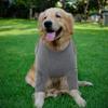 Atmungsaktiver Hundebeinschutz Langarm Professionelle Hundeledenbogenbandage Polyester Hohe Elastizität Hundekniepolster Postoperative Pflege