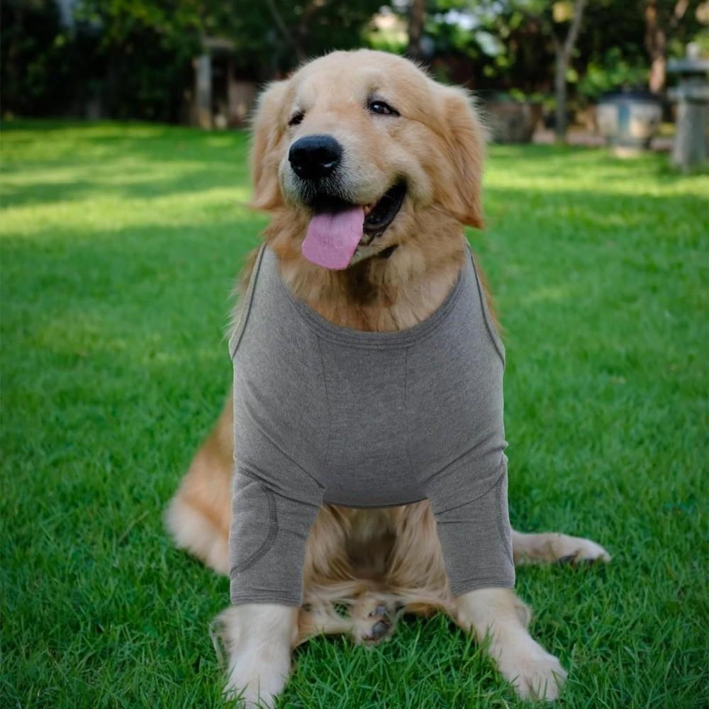 Atmungsaktiver Hundebeinschutz Langarm Professionelle Hundeledenbogenbandage Polyester Hohe Elastizität Hundekniepolster Postoperative Pflege