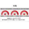 Tokyu Sports Oasis Shape Twin Ball Vibration Fitness Machine Vibration STB-100 (5 Levels)
