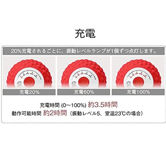 Tokyu Sports Oasis Shape Twin Ball Vibration Fitness Machine Vibration STB-100 (5 Levels)