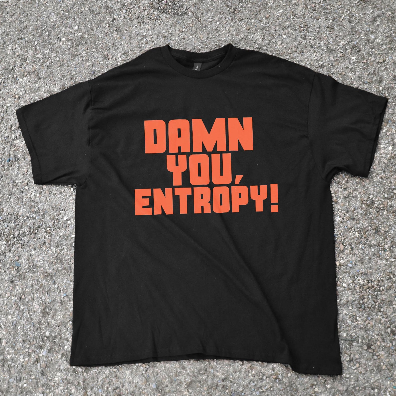 Damn You, Entropy T-Shirt | Sci-Fi Quote Tee | Physics Humor Shirt | Retro Sci Fi Typography | Gift for Nerds & Thinkers, DARK ACADEMIA TEE XL