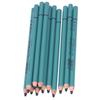 12Pcs Charcoal Pencils Flexible Write Smoothly Easy To Use Charcole Art Supply for Detailed Drawing