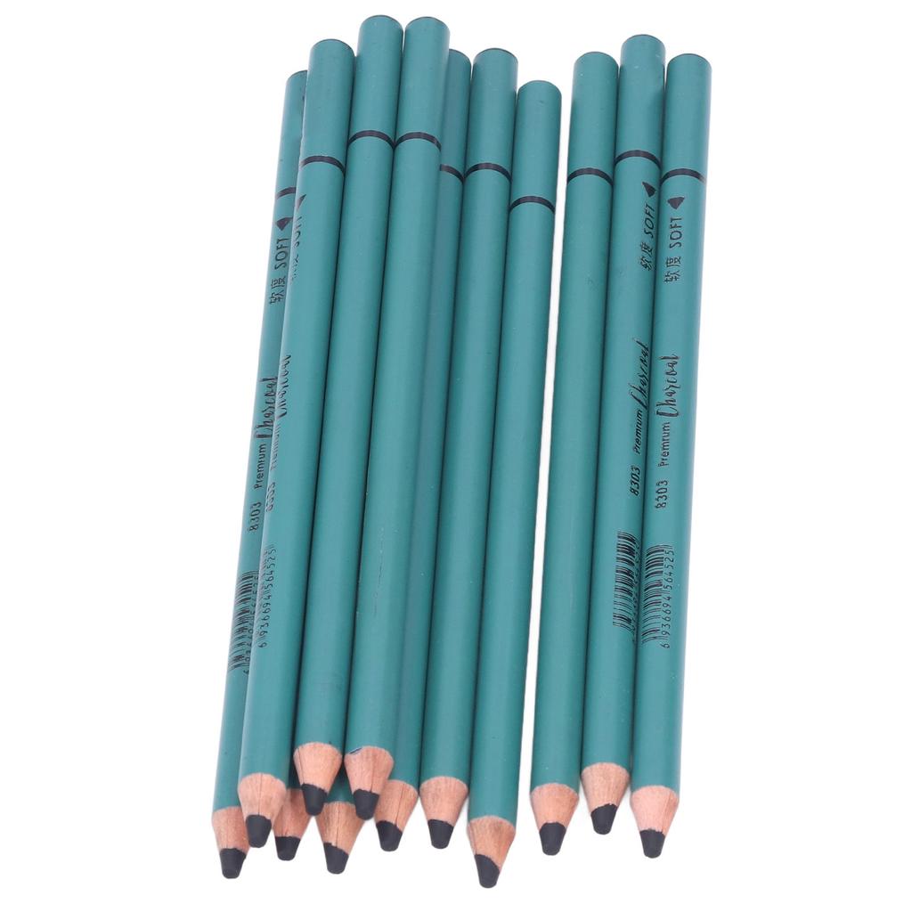 12Pcs Charcoal Pencils Flexible Write Smoothly Easy To Use Charcole Art Supply for Detailed Drawing