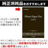 Canon Photo Paper Gloss Pro Platinum Grade A4 20 Sheets PT-201A420 [Bulk Purchase Set of 3 Books]