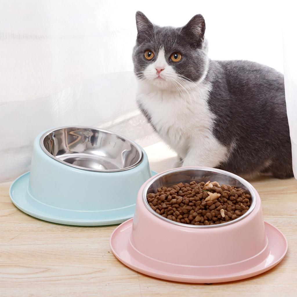 Pet Dishes Bowls with Stand for Kitten Small Dogs Food & Water Bowl 3 Options Tilted Elevated Bowl Protect Pet's Spine