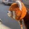 Flower Red Panda Plush Bag Plush Toy Plush Doll Schoolbags Raccoon Backpacks  Girls Boys