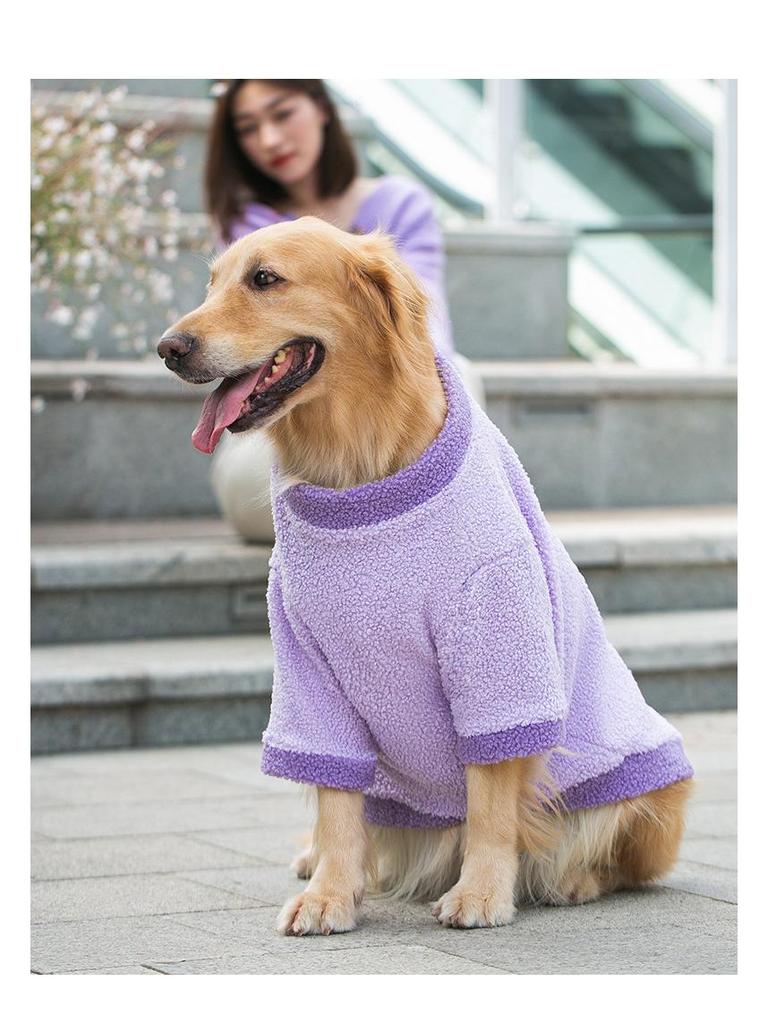 Warme Herbst- & Winterkleidung für große und mittelgroße Hunde - Passend für Golden Retriever, Border Collies, Huskys, Zweibeinige Haustierbekleidung