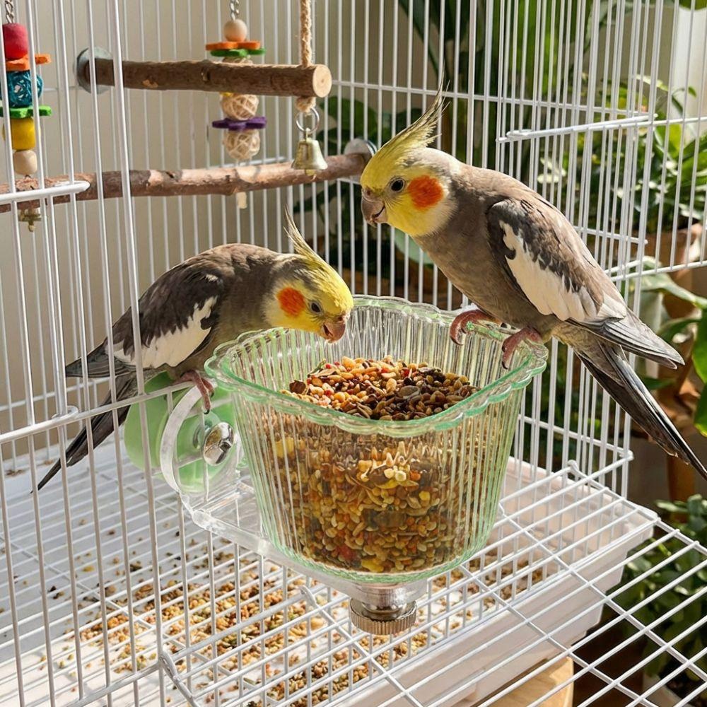 Bird Food Container Transparent Magnetic Bird Feeder Anti-Splash Removable Bird Cage Bowl Anti-Tip Pet Feeder Ledge Drinking
