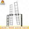 Double Swivel Ladder Trainer
