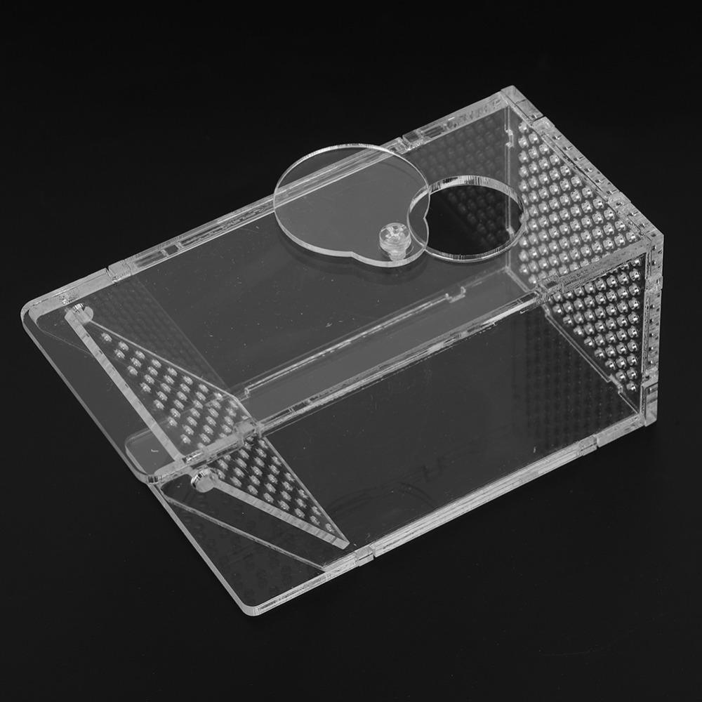 Transparent Fish Tank Trap Acrylic One Way Trap Durable Shrimp Catcher Reptile Terrarium