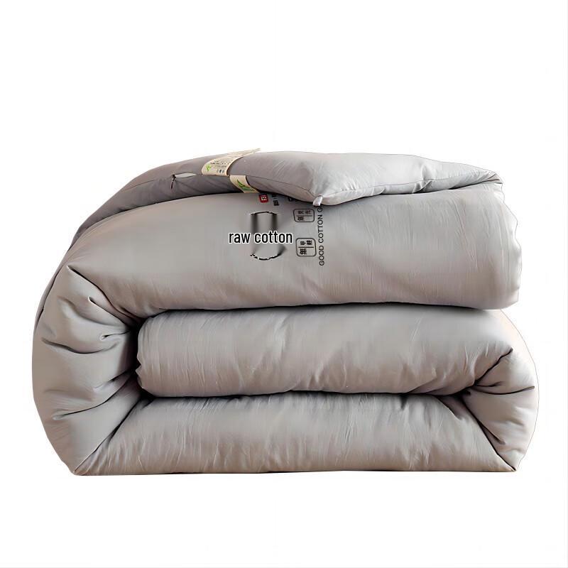 

Southlife All-Season Skin-friendly Washable Quilt