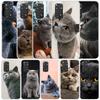 British Shorthair Cat Phone Case For Xiaomi Redmi Note 15 14 14S 13 12S 12 Pro Plus 11S 11 11T 11E 10S 10 + Soft TPU Back Cover