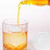 Large Sphere Ice Maker Reusable Ice Cube Tool DIY Ice Mold  Kitchen