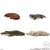 BANDAI Tenori Friends 12 - Reptiles and Amphibians - Chewing Gum Candy Toys [Box Set of 12]