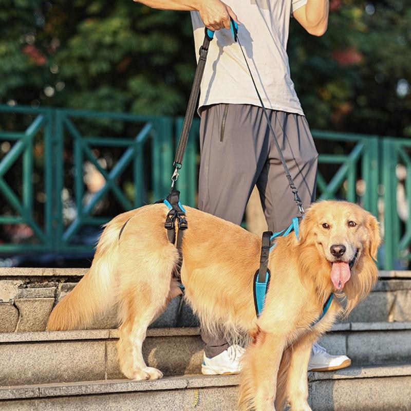Podpůrný postroj pro starší psy Nastavitelná pomůcka pro mobilitu pro postižené, zraněné, staré mazlíčky S rychloupínáním Měkké polstrování