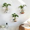 3 Stück Wandhängendes Glas-Terrarium Wandmontierte Runde Kristallvase Grüne Efeu Hydrokultur-Pflanzenbehälter für Haus Büro Dekoration