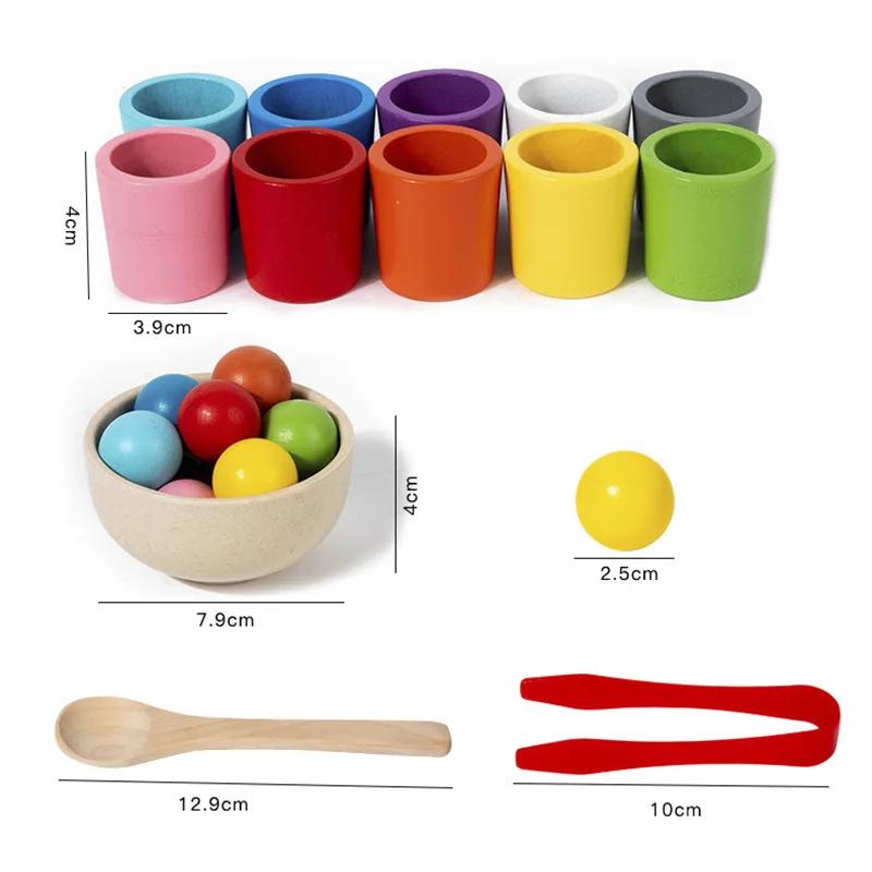 Wooden Color Sorting Cups Game, Montessori Educational Toy for Preschool Kids, Matching & Cognition Training, Birthday Gift