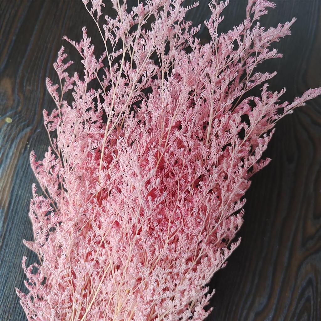 Everlasting White Dried Baby's Breath Flowers for Home Decor and Photography