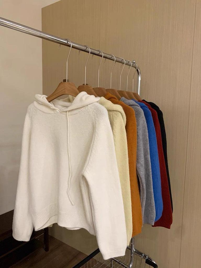 2025 Women's High-End European Style Pure Wool Hooded Sweater – Thick, Loose Knitwear for Autumn/Winter