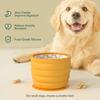 Cães – Louça para cães