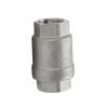 304 Stainless Steel High Temperature Steam Check Valve