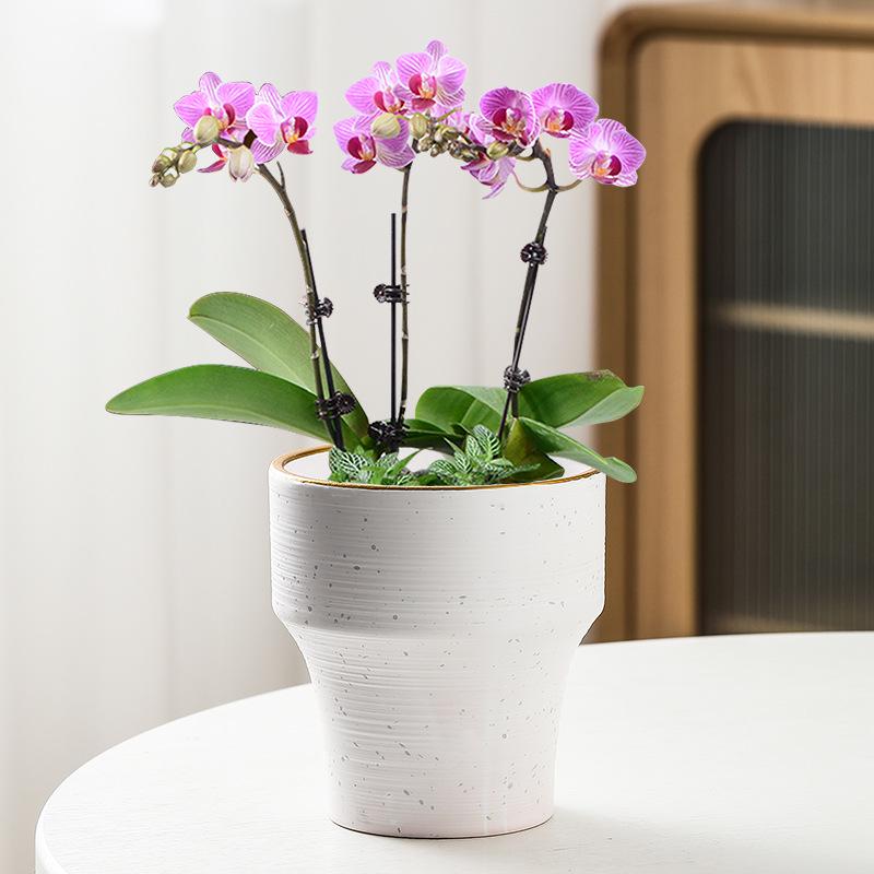 Nordic High-Leg Ceramic Orchid Pot: Durable, Artistic for Home or Balcony Use