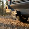 Wolf Head Trailer Hitch Cover for 2" Receivers Howling Wolf Trailer Hitch Tube Cover Dust-Proof Square Mouth Hitch Receiver Cap