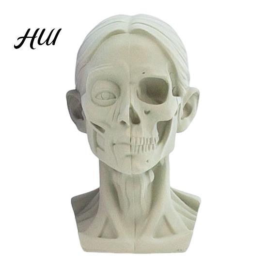 Human Anatomy Teaching Tool Generic Planar Head Model for Drawing Resin Skull Sculpture with Accurate Detailed Muscle Structure Art Study Sketching
