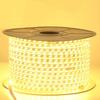 XinGongPai High-Brightness Waterproof LED Strip Lights