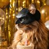 Three Dimensional Cat Mask Bat Mask, Funny Helmet, Hat Cosplay Costume, Adjustable Pet for Elastic Halloween Party Photo Props, Lightweight
